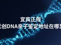 宜宾正规无创DNA亲子鉴定地址在哪里