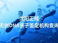 沈阳正规无创DNA亲子鉴定机构查询