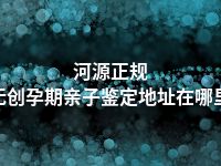 河源正规无创孕期亲子鉴定地址在哪里