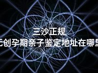 三沙正规无创孕期亲子鉴定地址在哪里