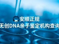 安顺正规无创DNA亲子鉴定机构查询