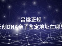 吕梁正规无创DNA亲子鉴定地址在哪里