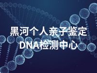 黑河个人亲子鉴定DNA检测中心