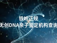 铁岭正规无创DNA亲子鉴定机构查询