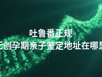 吐鲁番正规无创孕期亲子鉴定地址在哪里