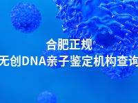 合肥正规无创DNA亲子鉴定机构查询