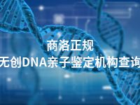 商洛正规无创DNA亲子鉴定机构查询