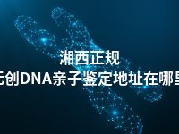 湘西正规无创DNA亲子鉴定地址在哪里