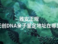 雅安正规无创DNA亲子鉴定地址在哪里