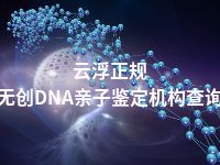 云浮正规无创DNA亲子鉴定机构查询