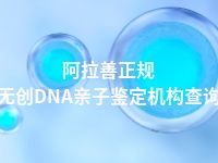 阿拉善正规无创DNA亲子鉴定机构查询