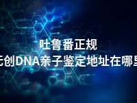 吐鲁番正规无创DNA亲子鉴定地址在哪里