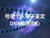 哈密个人亲子鉴定DNA检测中心