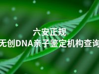 六安正规无创DNA亲子鉴定机构查询