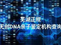 芜湖正规无创DNA亲子鉴定机构查询