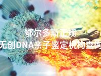 鄂尔多斯正规无创DNA亲子鉴定机构查询