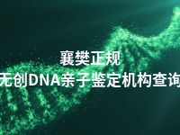 襄樊正规无创DNA亲子鉴定机构查询