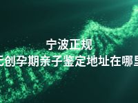 宁波正规无创孕期亲子鉴定地址在哪里