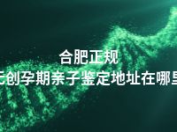 合肥正规无创孕期亲子鉴定地址在哪里