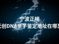 宁波正规无创DNA亲子鉴定地址在哪里