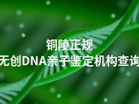 铜陵正规无创DNA亲子鉴定机构查询