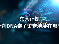 东营正规无创DNA亲子鉴定地址在哪里