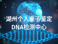 湖州个人亲子鉴定DNA检测中心