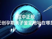 汉中正规无创孕期亲子鉴定地址在哪里