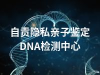 自贡隐私亲子鉴定DNA检测中心