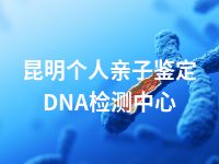 昆明个人亲子鉴定DNA检测中心