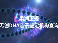 巢湖正规无创DNA亲子鉴定机构查询