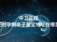 中卫正规无创孕期亲子鉴定地址在哪里