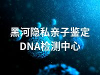 黑河隐私亲子鉴定DNA检测中心