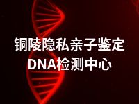 铜陵隐私亲子鉴定DNA检测中心