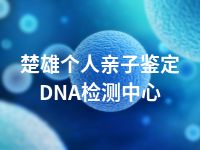 楚雄个人亲子鉴定DNA检测中心