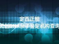 定西正规无创DNA亲子鉴定机构查询