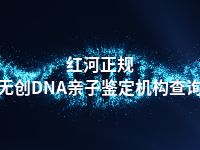 红河正规无创DNA亲子鉴定机构查询