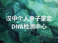 汉中个人亲子鉴定DNA检测中心