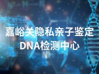 嘉峪关隐私亲子鉴定DNA检测中心