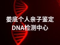 娄底个人亲子鉴定DNA检测中心