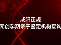 咸阳正规无创孕期亲子鉴定机构查询