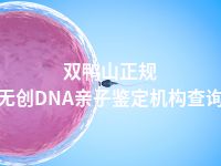 双鸭山正规无创DNA亲子鉴定机构查询