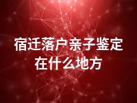 宿迁落户亲子鉴定在什么地方