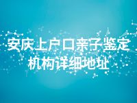 安庆上户口亲子鉴定机构详细地址