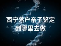 西宁落户亲子鉴定到哪里去做