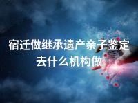 宿迁做继承遗产亲子鉴定去什么机构做