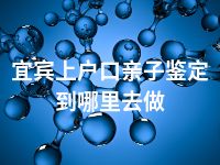 宜宾上户口亲子鉴定到哪里去做