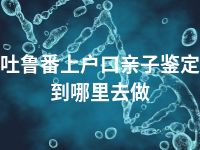 吐鲁番上户口亲子鉴定到哪里去做