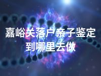 嘉峪关落户亲子鉴定到哪里去做