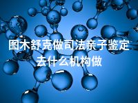 图木舒克做司法亲子鉴定去什么机构做